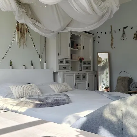 Historic Townhouse 5 Bedrooms * Dordrecht